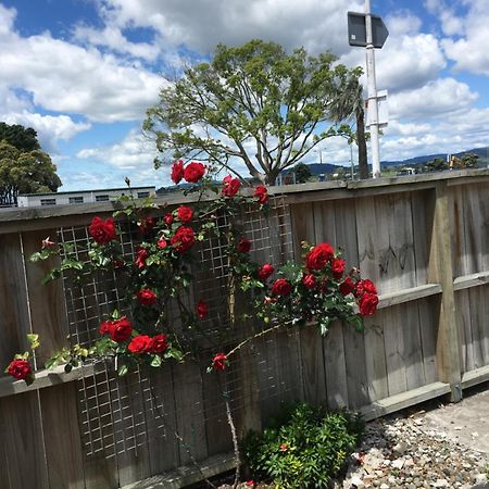 Strand Motel Tauranga Zewnętrze zdjęcie